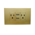 TOMACORRIENTE DOBLE CON 2 USB INDOOR DORADO A136-ETG-6C2U TROEN 