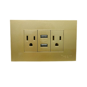 TOMACORRIENTE DOBLE CON 2 USB INDOOR DORADO A136-ETG-6C2U TROEN 