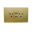 TOMACORRIENTE DOBLE CON 2 USB INDOOR DORADO A136-ETG-6C2U TROEN 