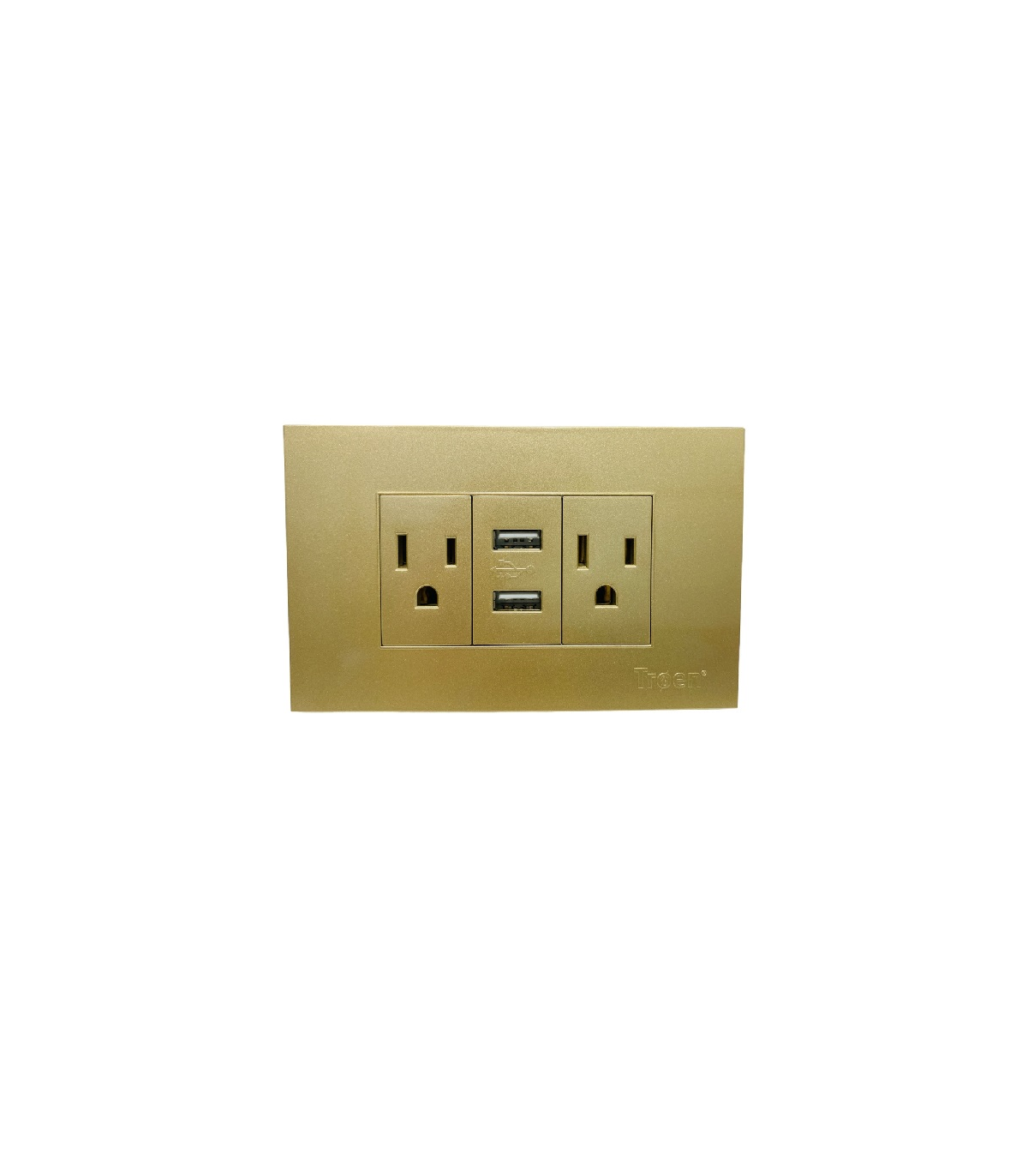 TOMACORRIENTE DOBLE CON 2 USB INDOOR DORADO A136-ETG-6C2U TROEN 