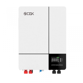 BATERIA DE LITIO LIFEPO4 DGK 51.2V - 100 AH 5.12 KWH DGKBE01-24