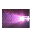 LED ROSADO(PURPLE) ALTOBRILLO 5MM