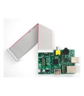 CABLE 26 PINES PARA RASPBERRY PI